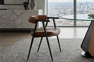 Shop Elite Modern Dining Chairs
