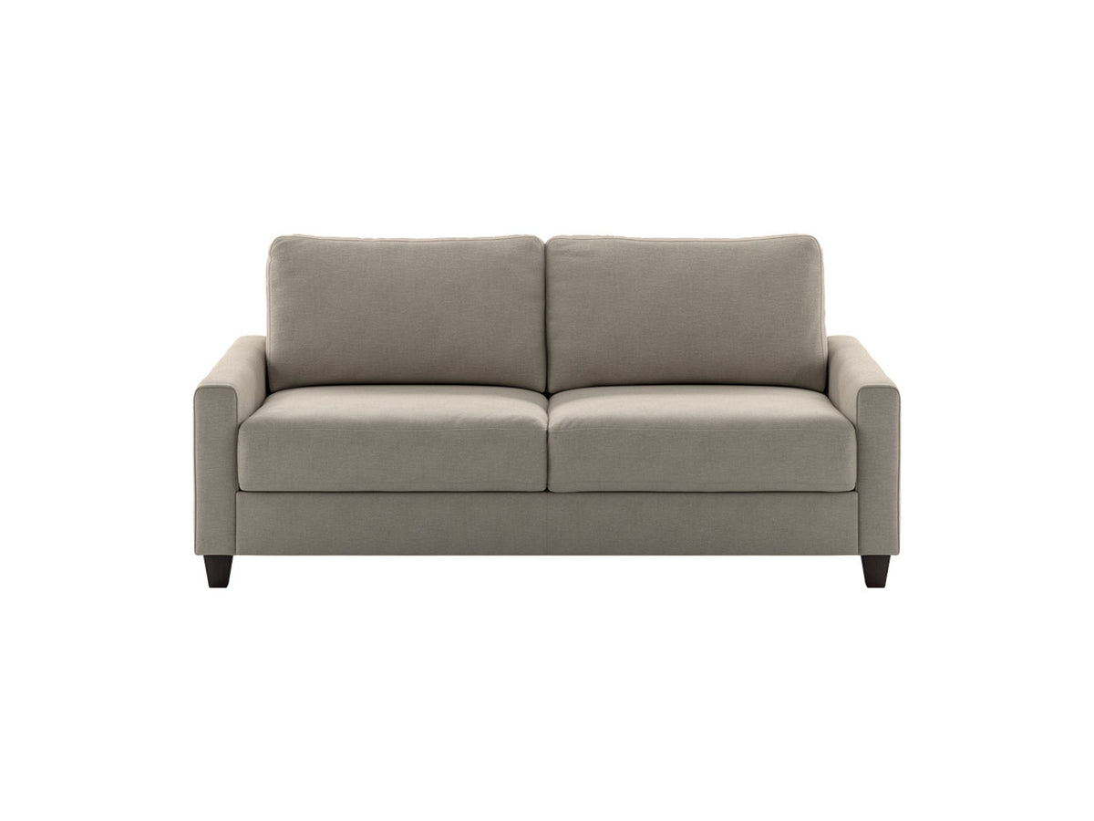 Luonto Couches & Sofa Nico Queen Size Sleeper Sofa – Modern Loveseat