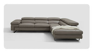 Leather Sectional