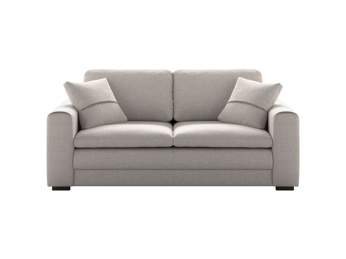 Luonto Couches & Sofa Cove Queen Size Sleeper Sofa – Contemporary
