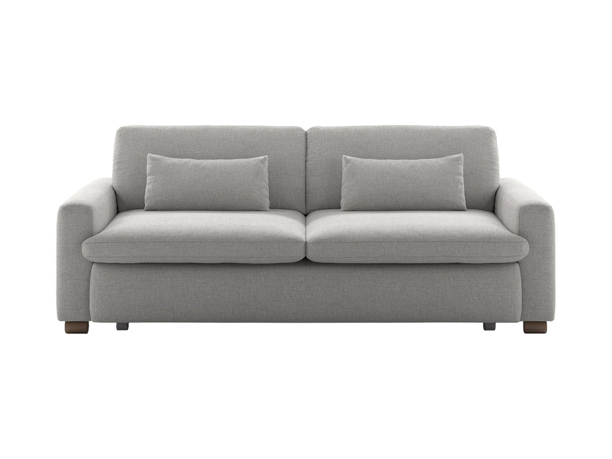 Luonto Couches & Sofa Kai Full Size Sleeper Sofa – Power