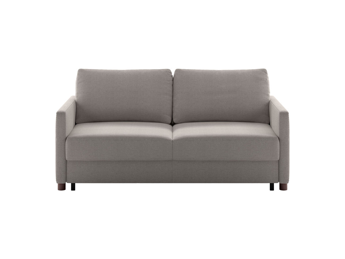 Luonto Couches & Sofa Polar Queen Size Sleeper Sofa – Modern Sleeper