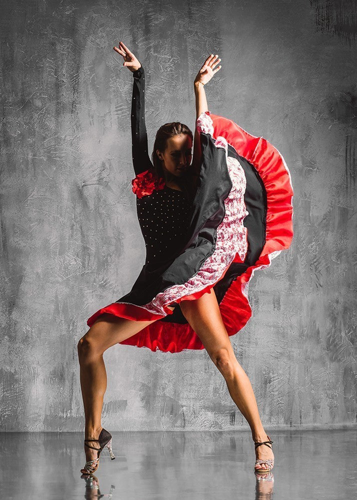 J and M Furniture Wall Art Flamenco | Wall Art